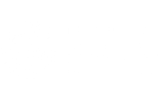 Destination Château de Pourtalès logo white